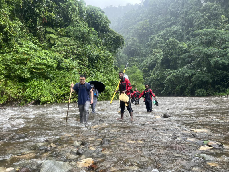萬水千山只等閑，踐行六講勇向前 ——所羅門金嶺水電站項目勘察工作側(cè)記